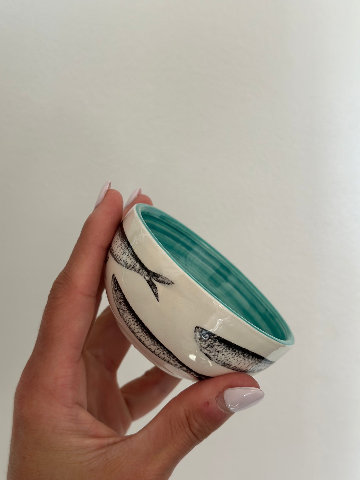 Sardine round dish