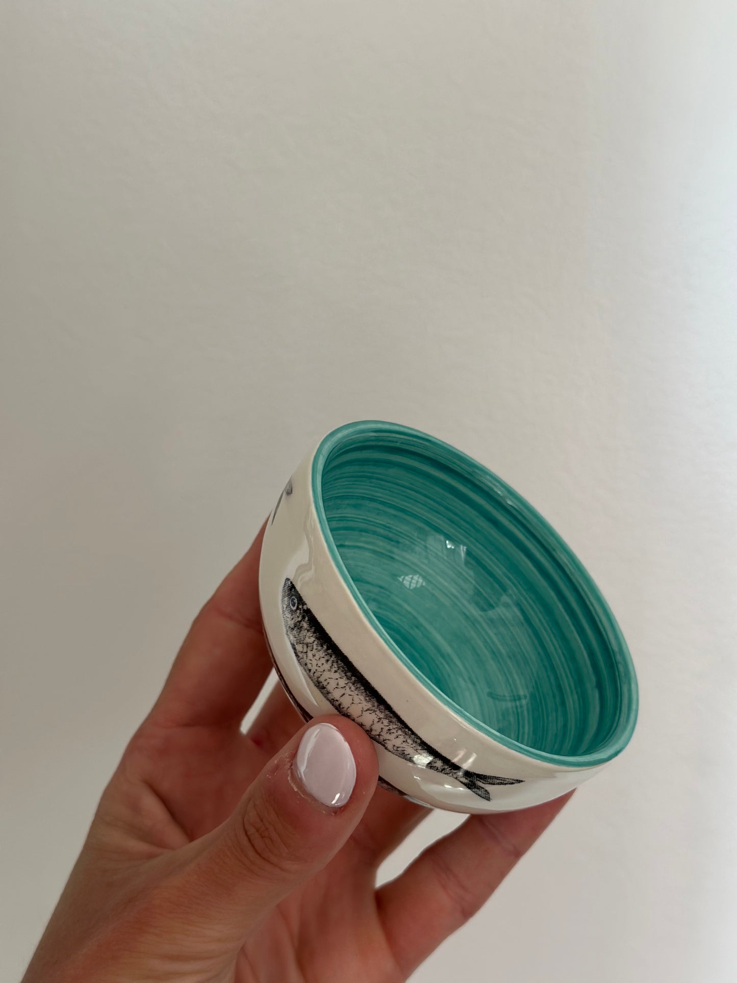 Sardine round dish
