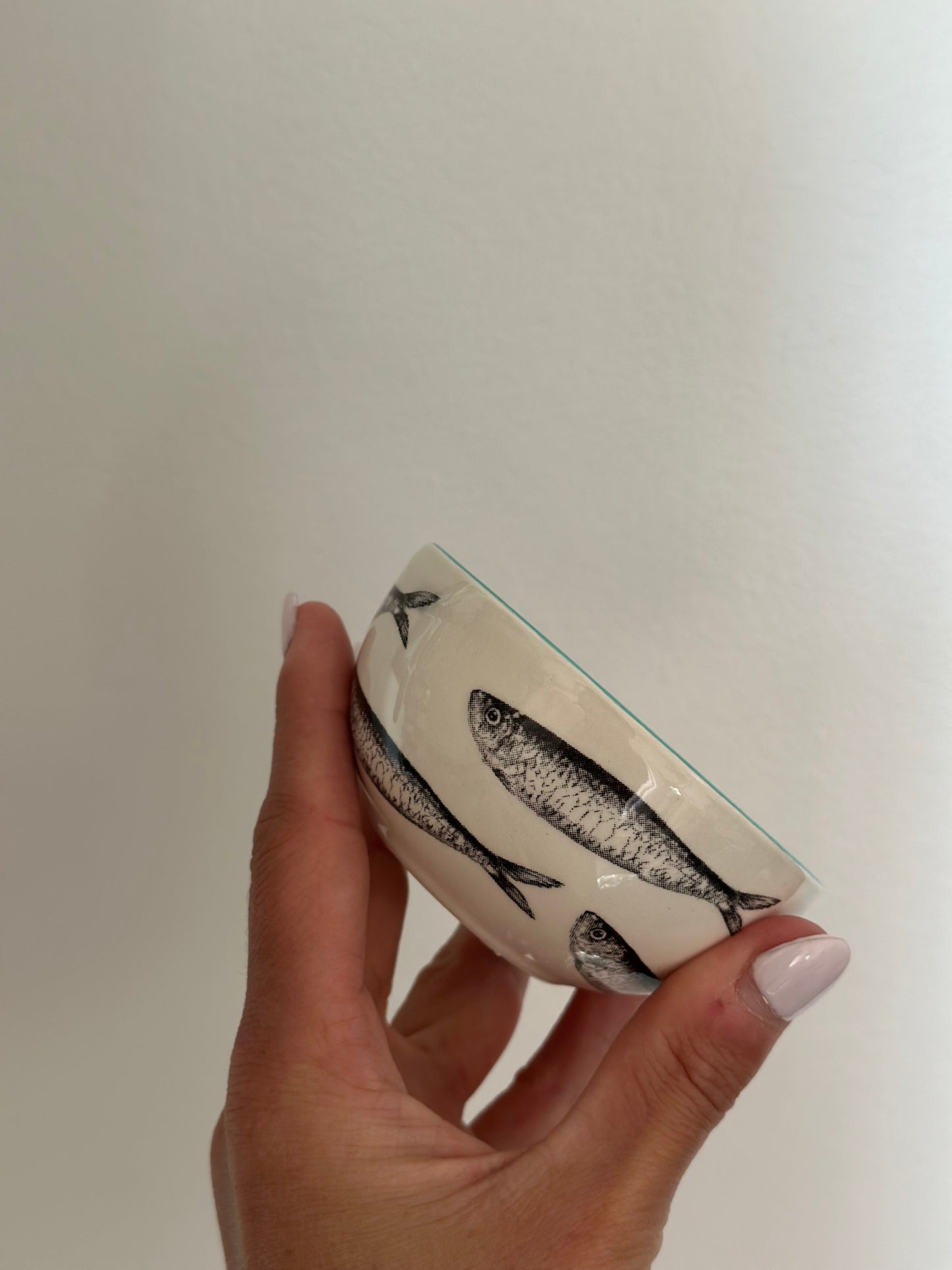 Sardine round dish